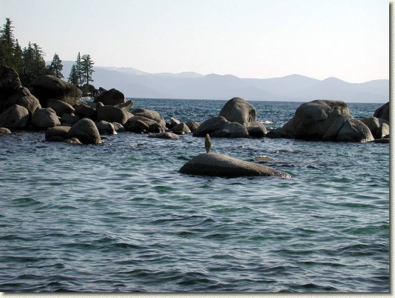 Click for the original image