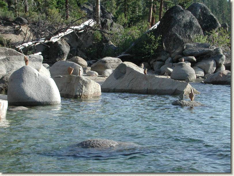 Click for the original image