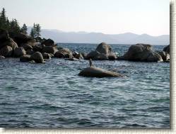 DSCN6949 * 2048 x 1536 * (315KB)