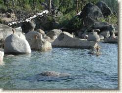 DSCN6950 * 2048 x 1536 * (524KB)